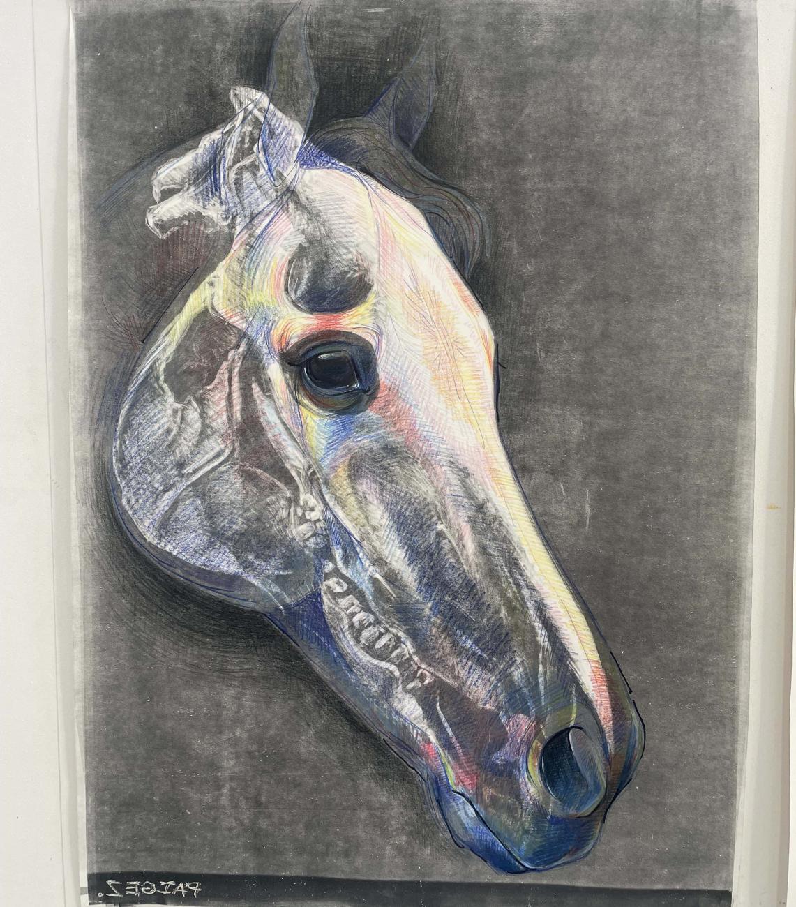 Business Major, Studio Arts minor, Drawing II class, Color pencil and monoprint mixed media