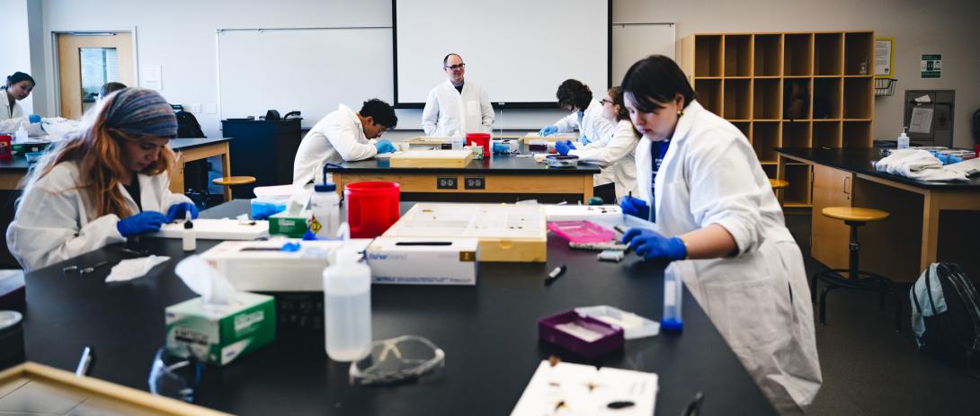 Students in a bio class sit at lab tables.